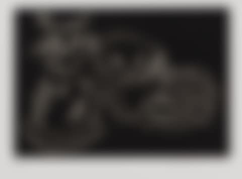 Cats Black (preview)