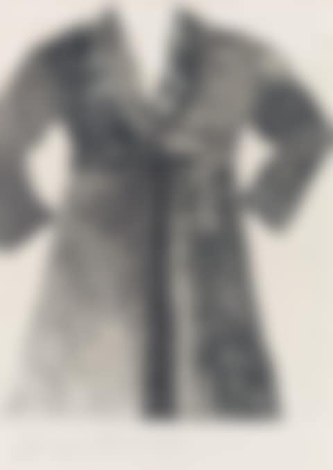 Bathrobe (preview)