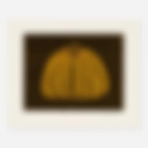 Pumpkin YY (preview)