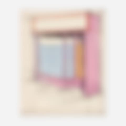 Pink Store Front, Project (from the Marginalia, Homage to Shimizu portfolio) (preview)