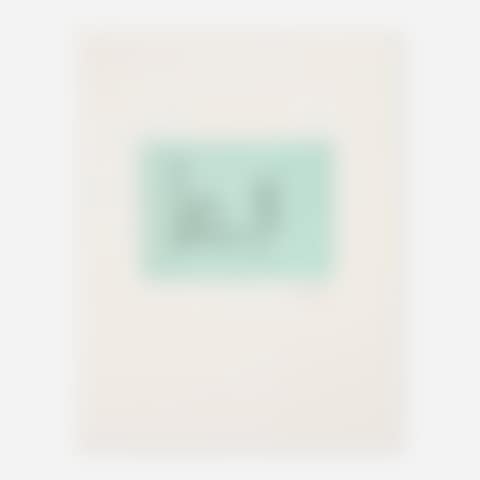 The Hospital (from the Ulysses portfolio) (preview)