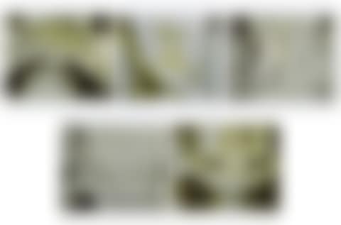 Studies for Holograms (preview)