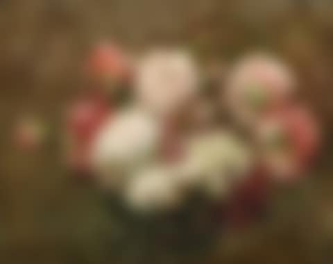 Œillets (preview)