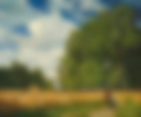 Cornfield (preview)