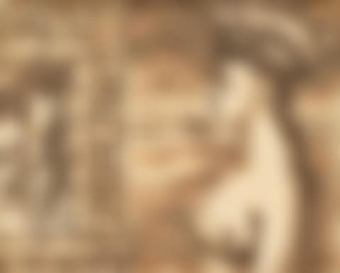 Femme couronnée devant une fenêtre (preview)