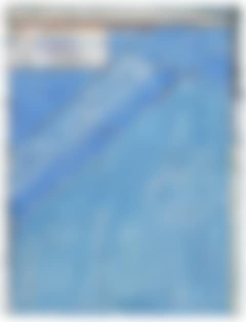Untitled (Ocean Park) (preview)