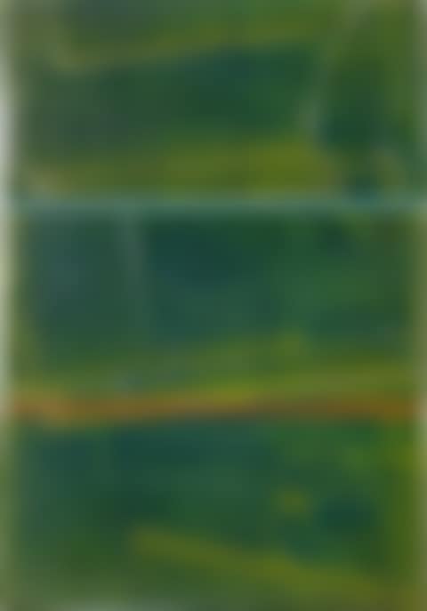 Doors Green Room (preview)