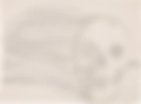 Skull (preview)