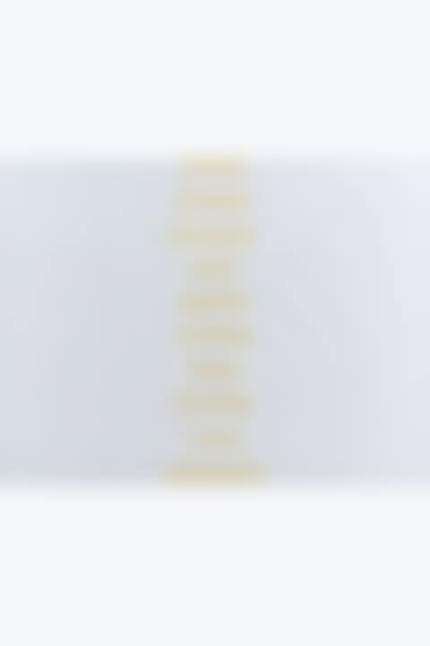 Plan for transparent yellow word list (preview)