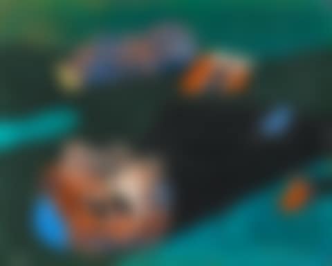 Fleurs (preview)