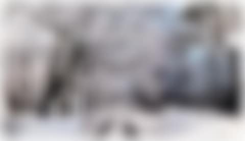 Woldgate Woods, Winter (preview)
