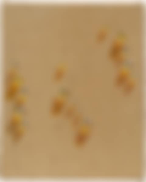 Waterdrops (preview)