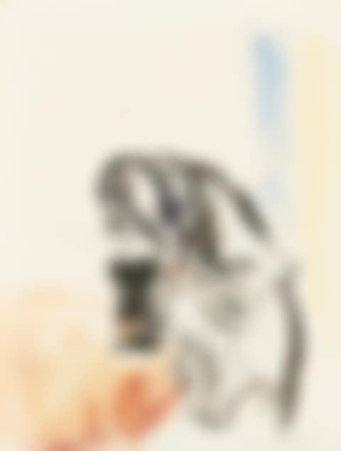 L"Inhalation (preview)
