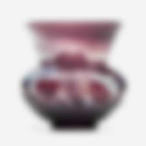 verrerie parlante vase with iris (preview)