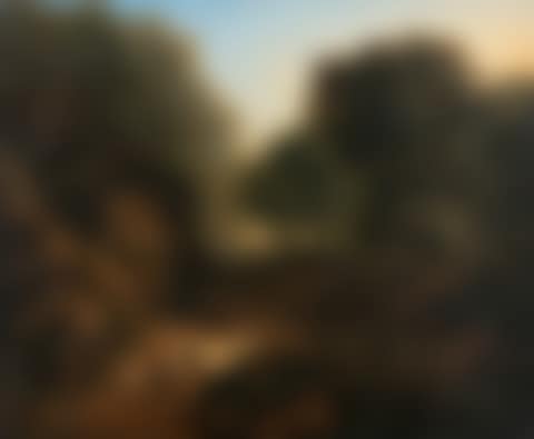 Wooded Defile with Figures and Distant Cattle (preview)