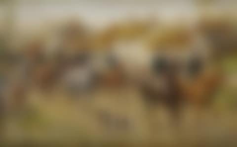Boxing Day Hunt (preview)