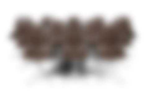 A set of twelve brown DSL La Fonda chairs (preview)