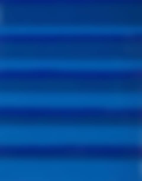 Bleu & Bleu (preview)