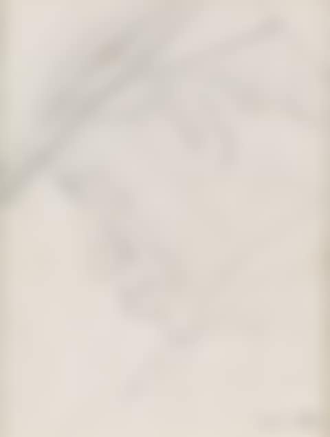 Study of a Man with a Hat (preview)