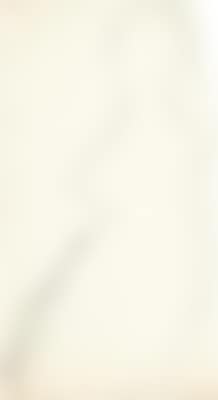 Untitled (Woman in Profile) (preview)