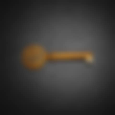 Bronze Key (preview)