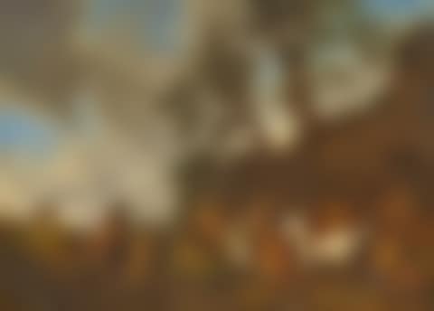 Cavalry troops making an arrest. (preview)