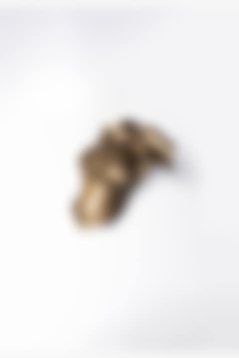Magnetic Evidence (preview)