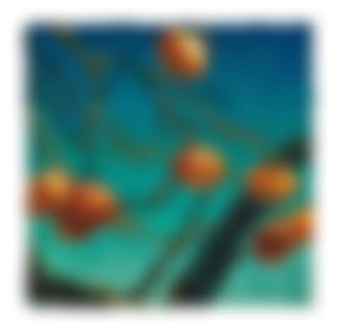 Persimmons (preview)