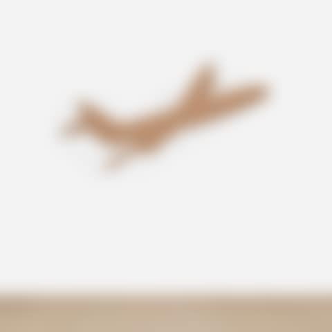Airplane (preview)