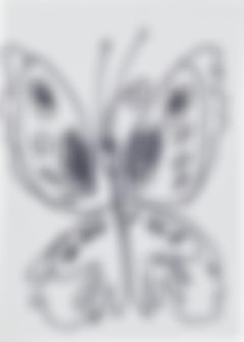 Untitled (Butterfly) (preview)