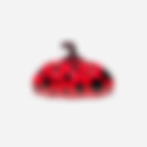Naoshima Red Pumpkin (preview)