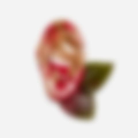 Van Gogh"s Ear (preview)