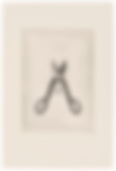One plate, from: Autobiographical Series (preview)