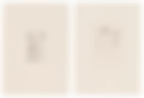 Two plates, from: Autobiographical Series (preview)