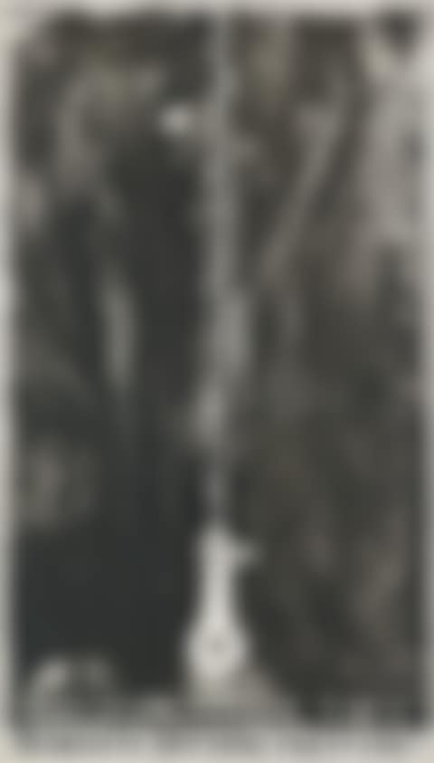Recent Still Life (preview)