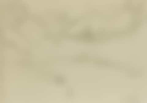 Nudes (preview)