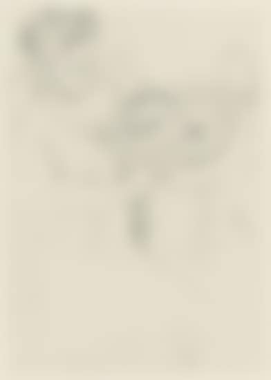 Looking into the Hand Mirror (No. 2) (preview)