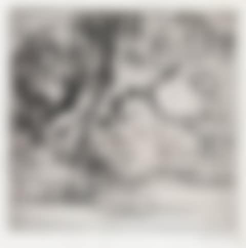 Magnolia Gardens (preview)
