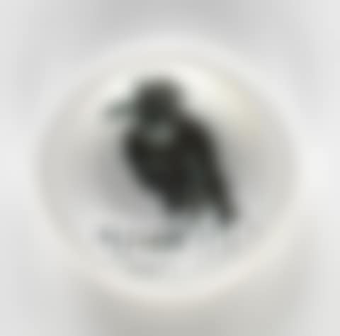 Bird with Tuft (preview)