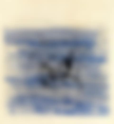 Sans titre (preview)