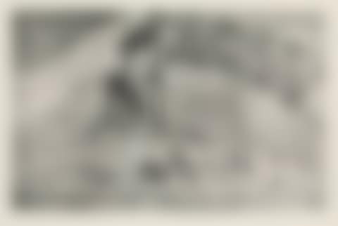 Femme aux Figues (preview)