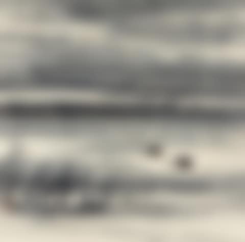 WILD GEESE AND REEDS (preview)