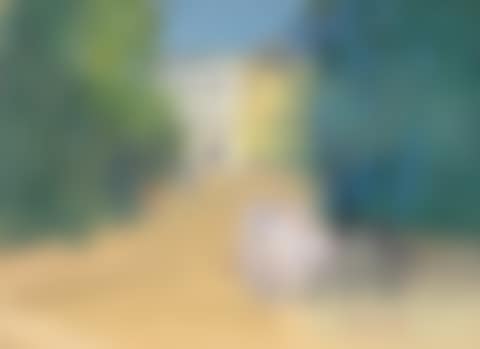 Le Parc (preview)