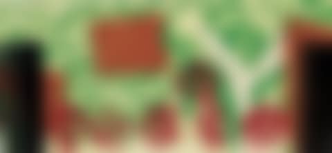 Hospital Room was Chocked with Flowers (preview)