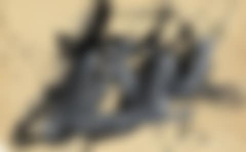 Composition (preview)