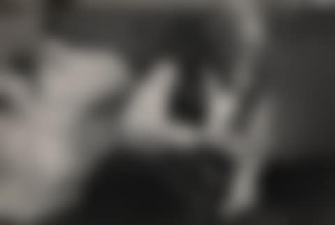 Alfred Stieglitz. (preview)