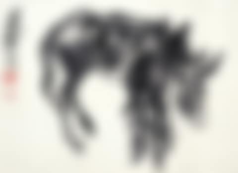 Donkeys (preview)