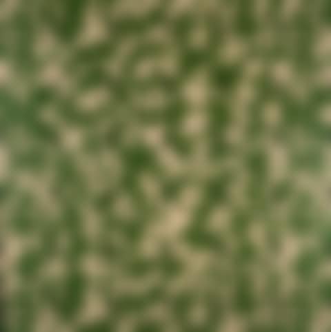 Monogramouflage (preview)