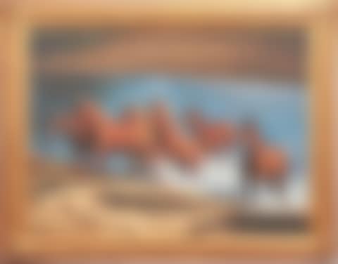 Wild horses (preview)