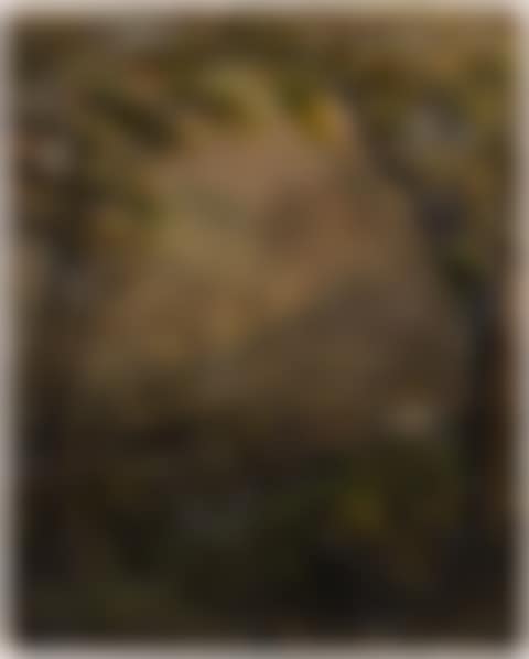 Settler Landscape (preview)